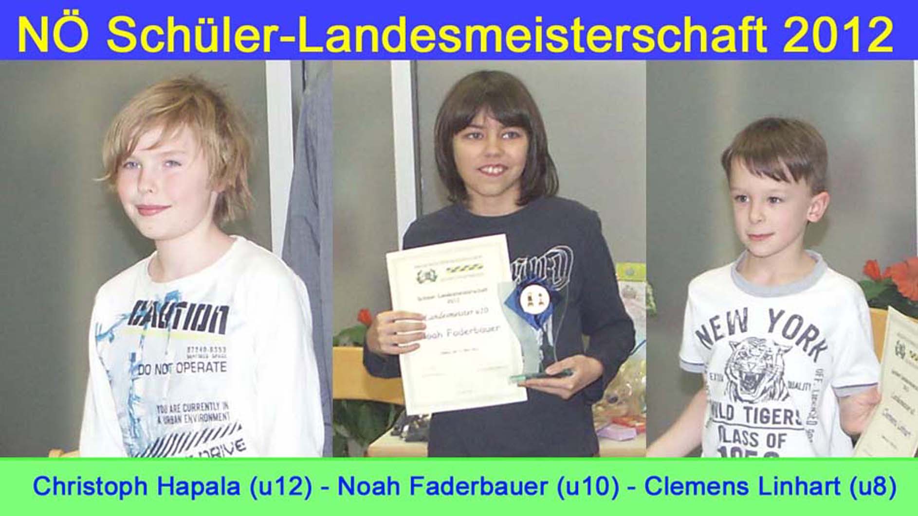 Schueler-LM-Sieger2012